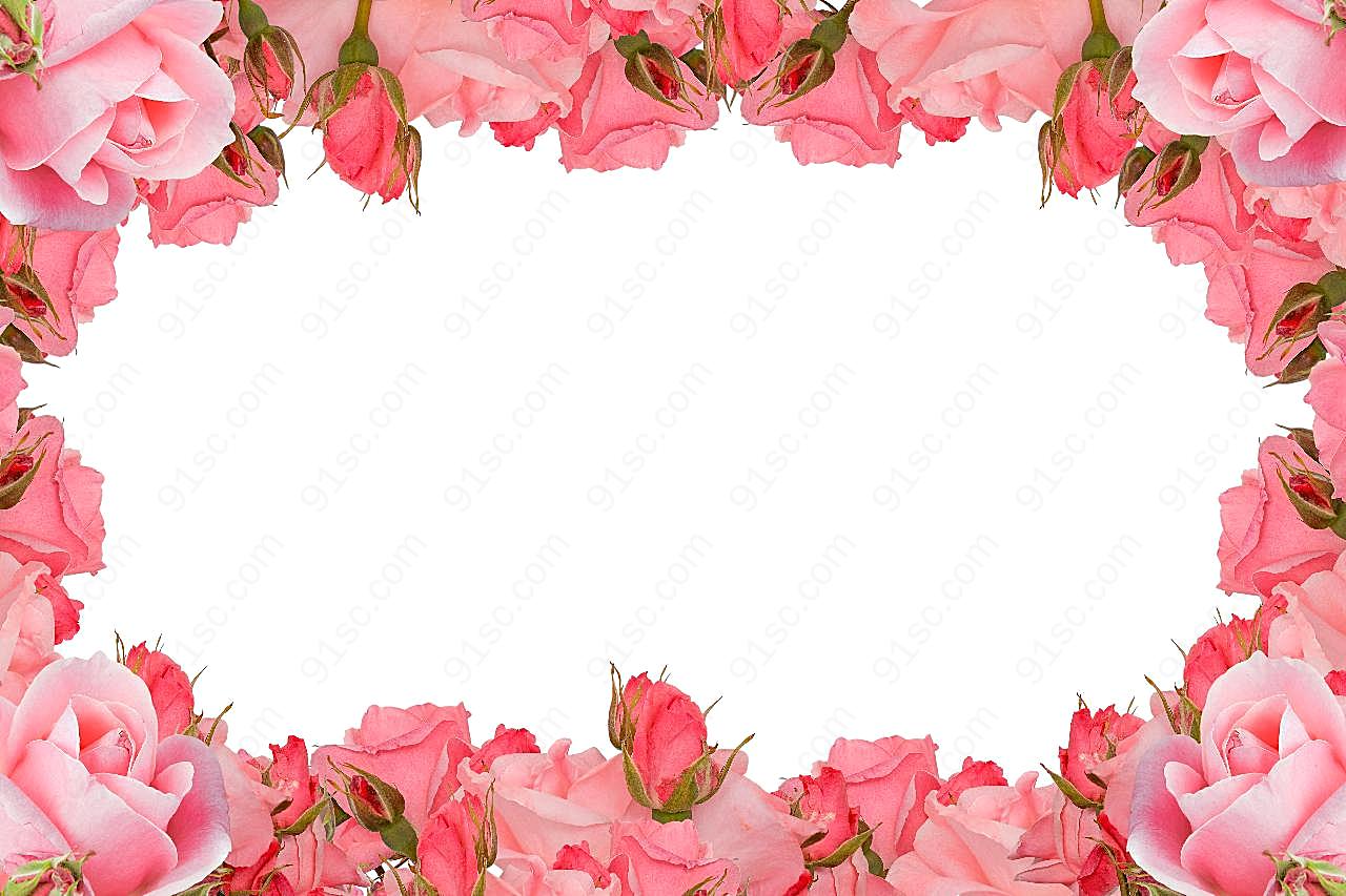 玫瑰素材花框图片