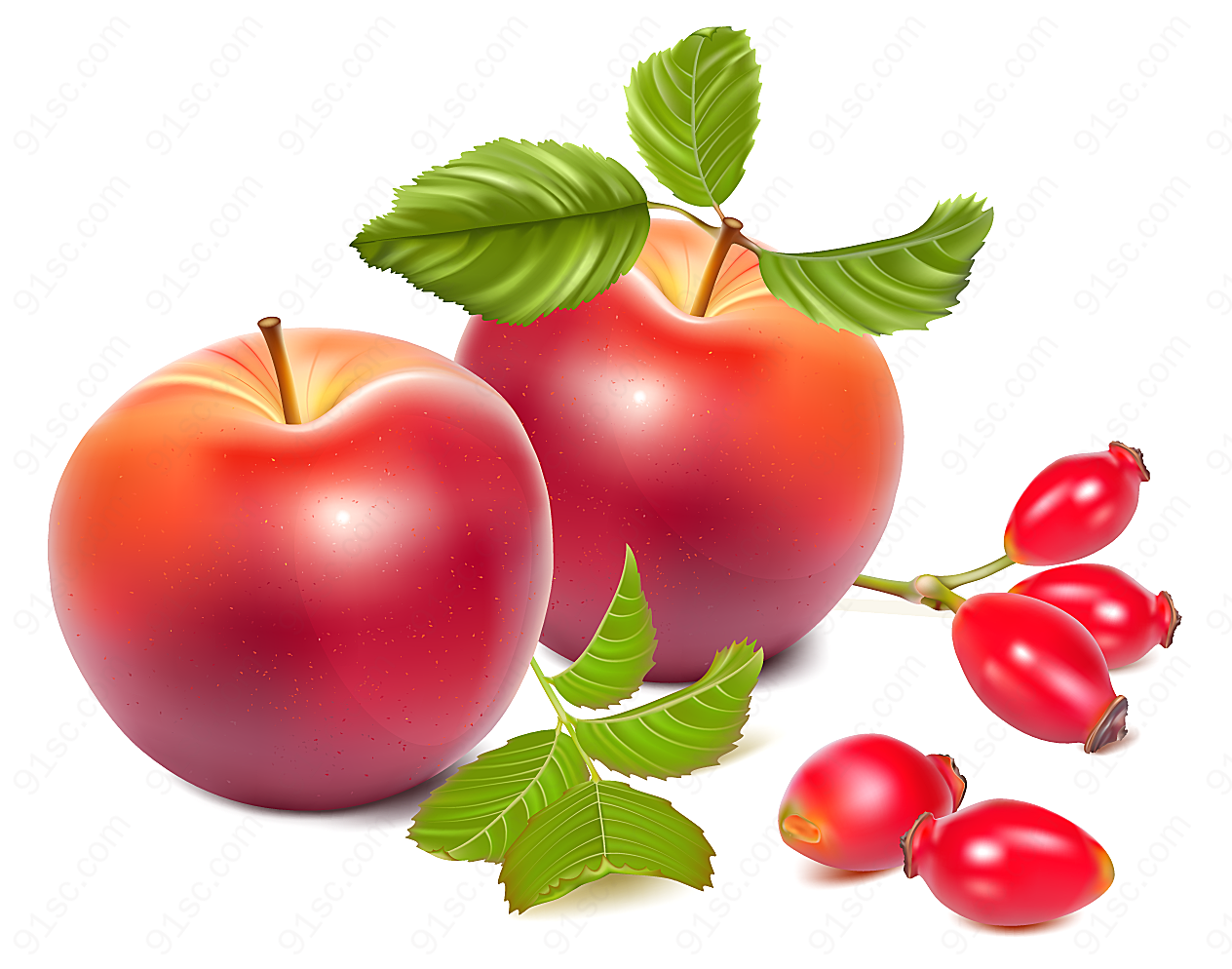 写实苹果和梨矢量水果