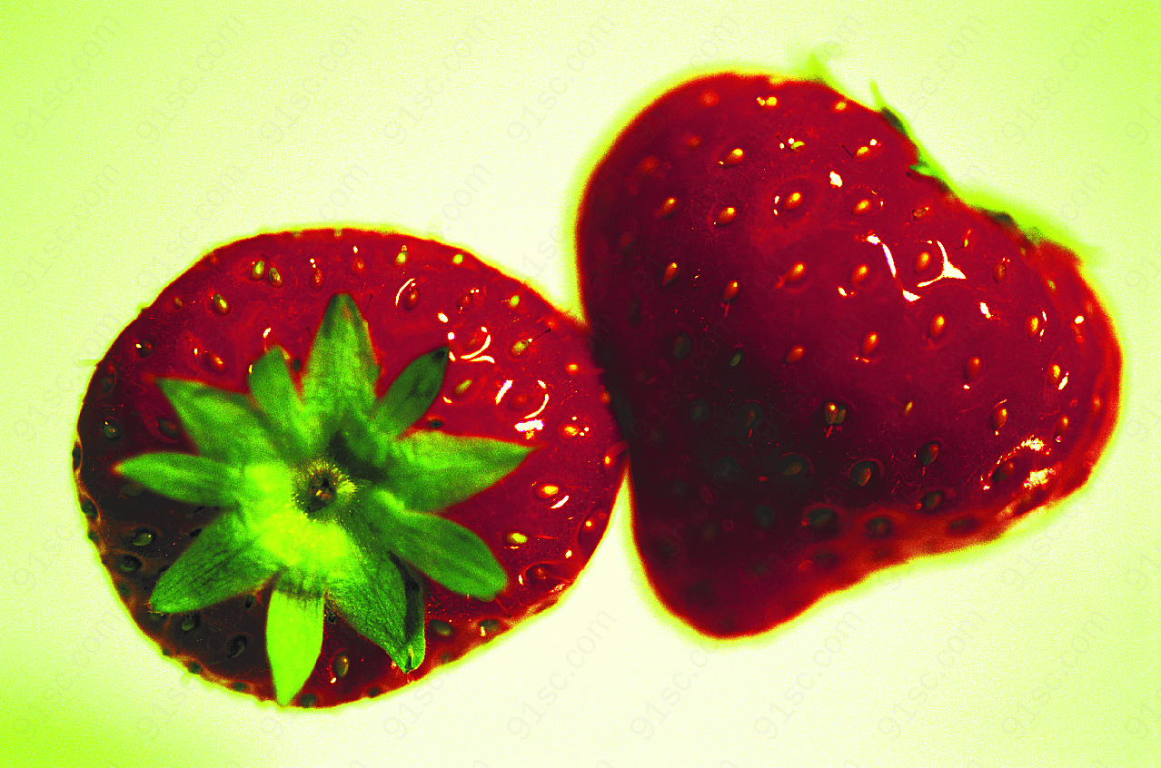 草莓生物