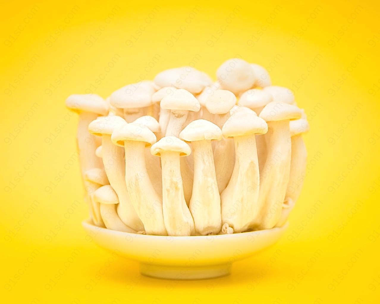 白玉菇背景图片蘑菇