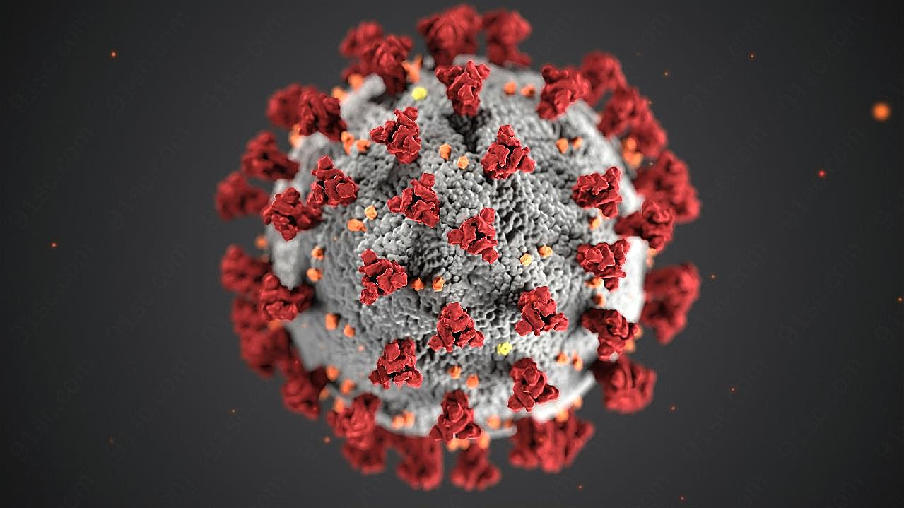 新型冠状病毒显微镜图片细胞图片