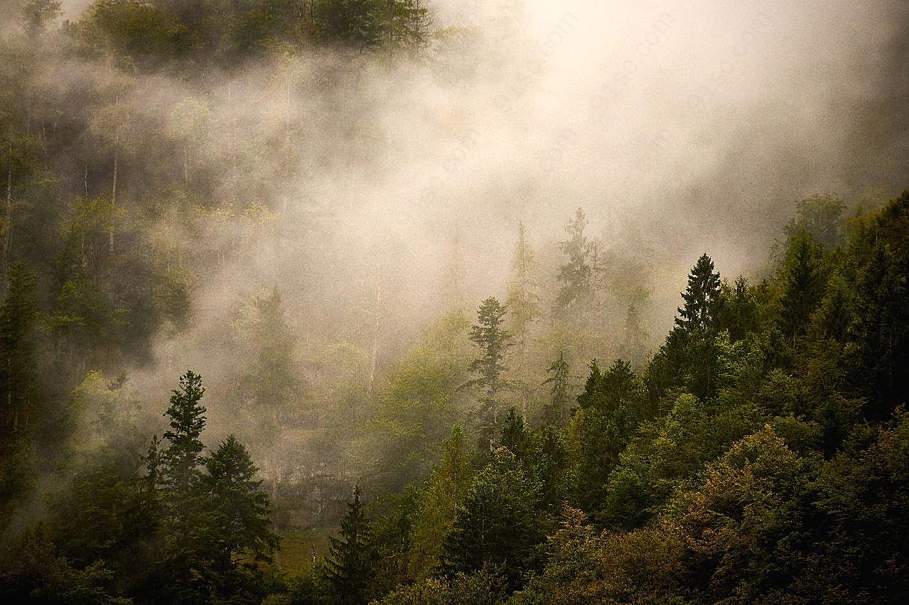 云雾山林摄影