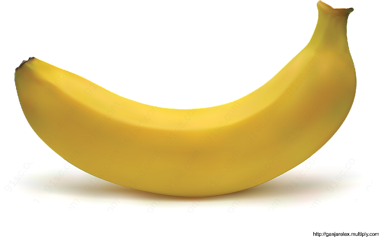 ai逼真香蕉矢量水果