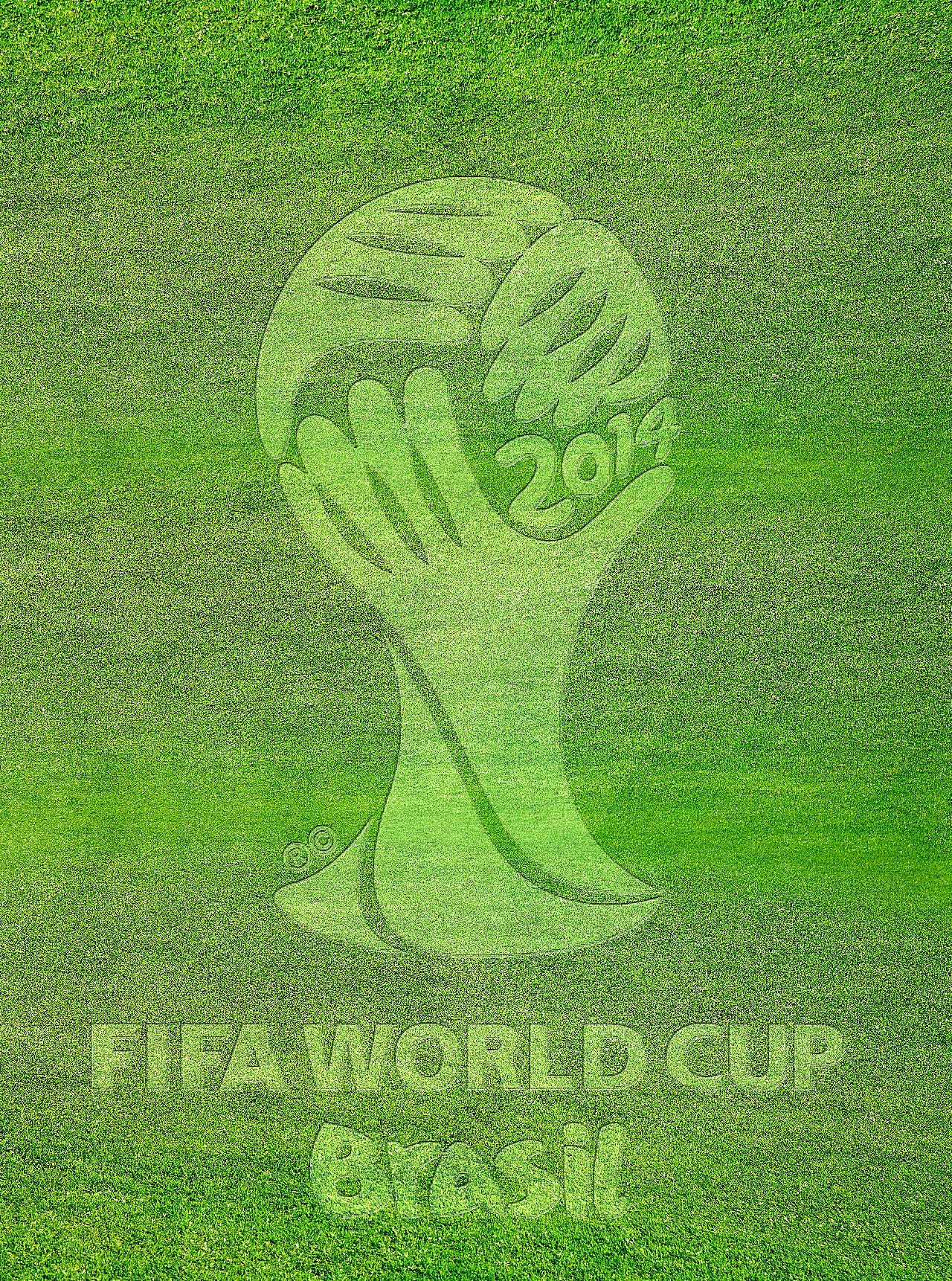 2014巴西世界杯标志图片高清摄影