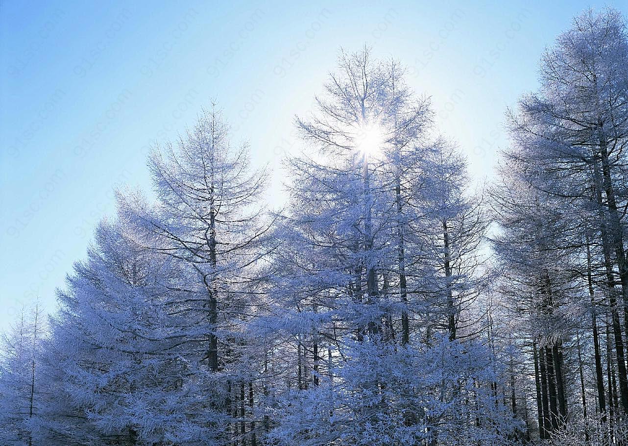 冰天雪地494雪景