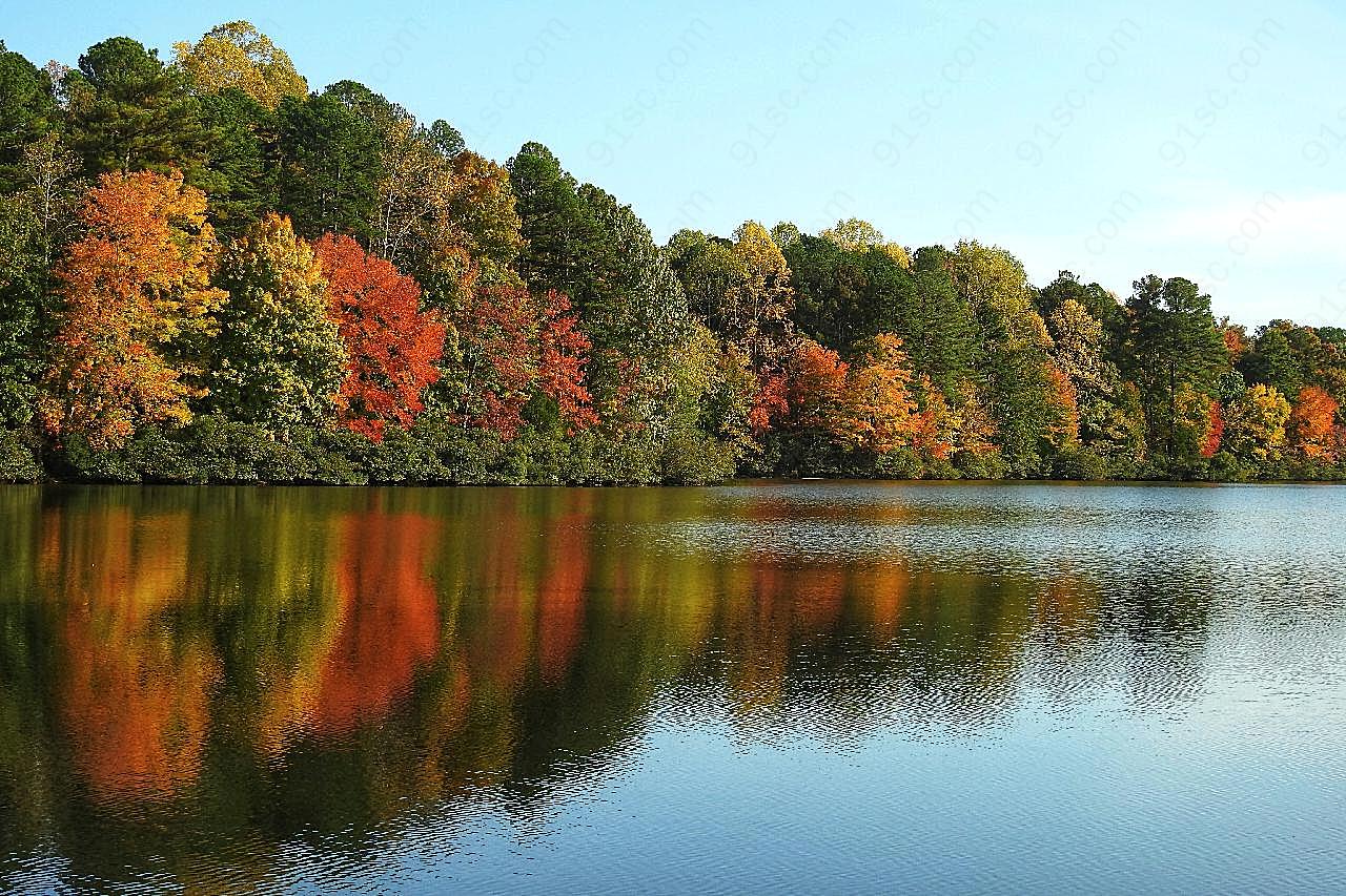 秋季湖泊树木景观图片摄影