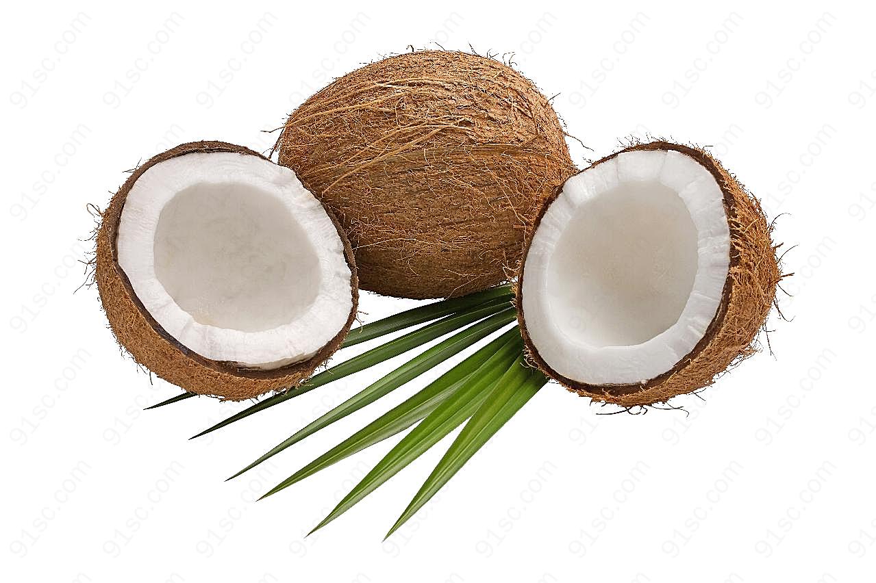 高清椰子图片下载水果