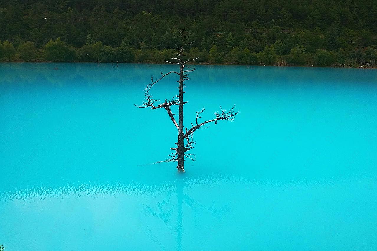 丽江蓝月谷风景图片景观