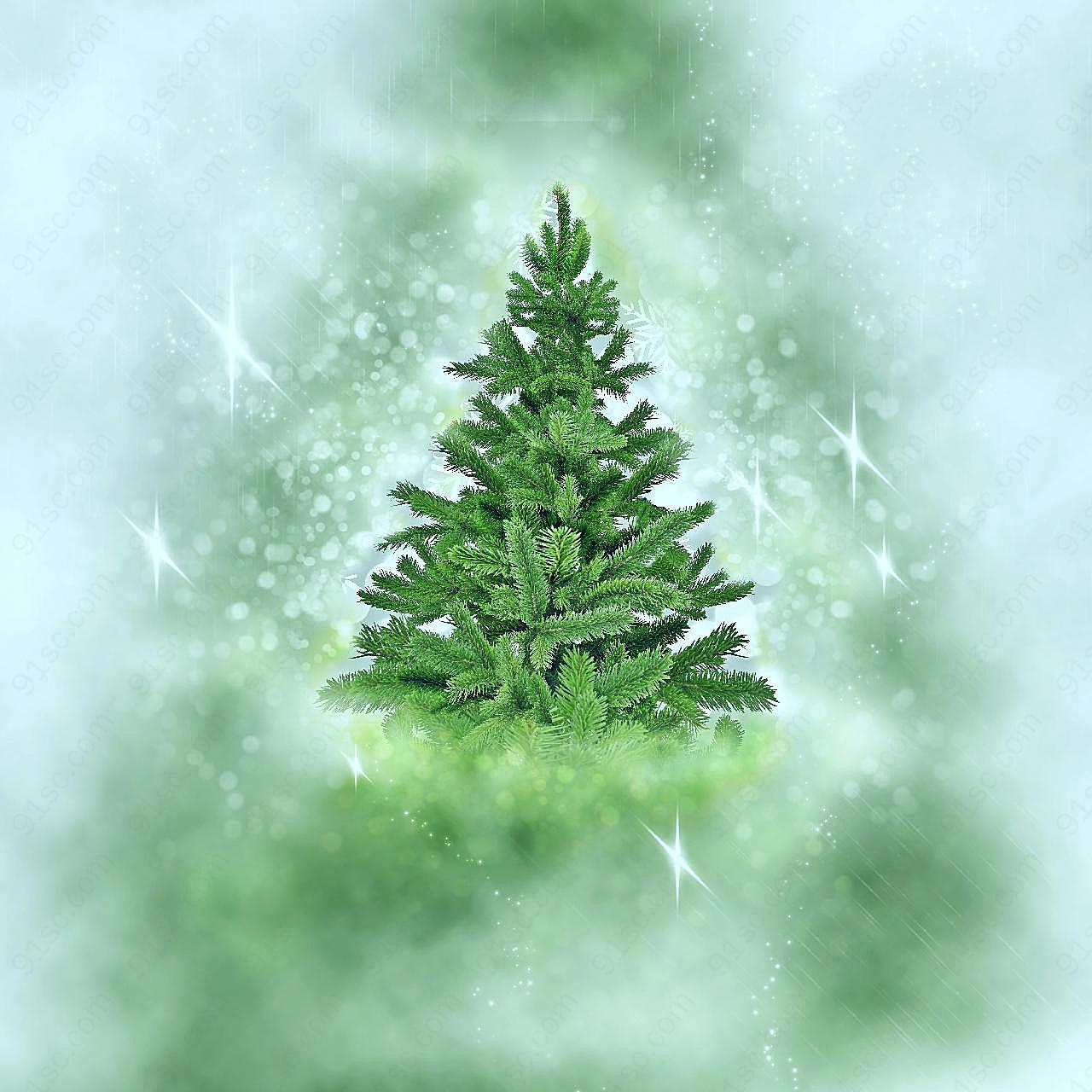 圣诞树背景图摄影