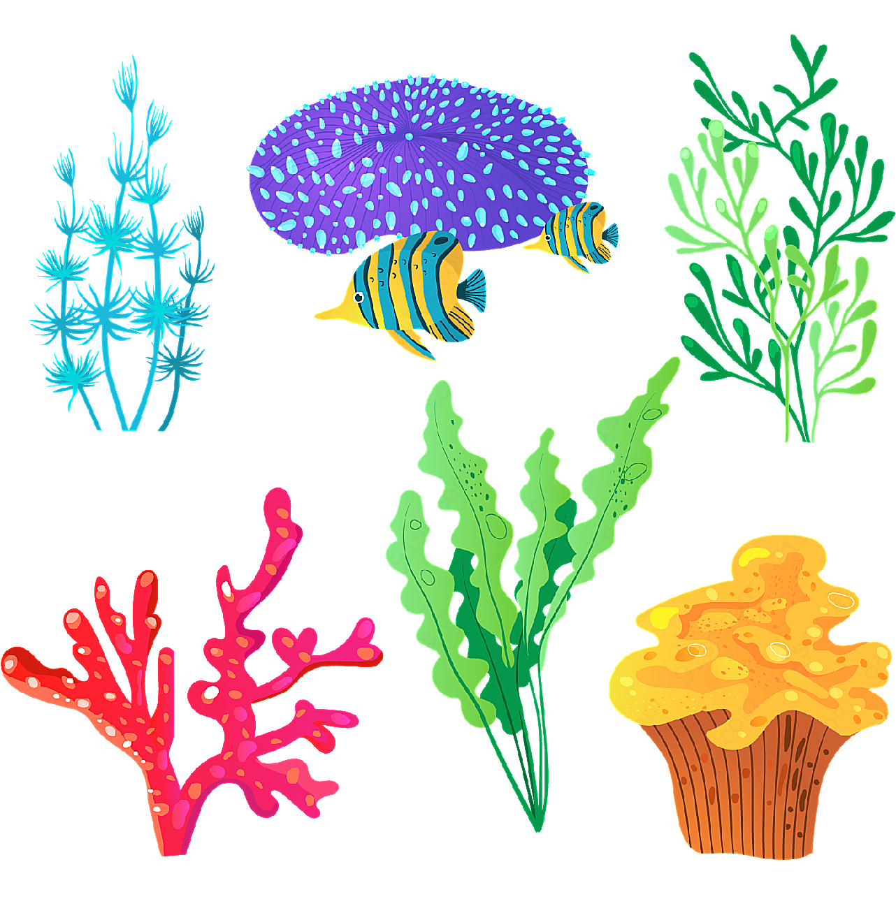6款彩色珊瑚水中生物