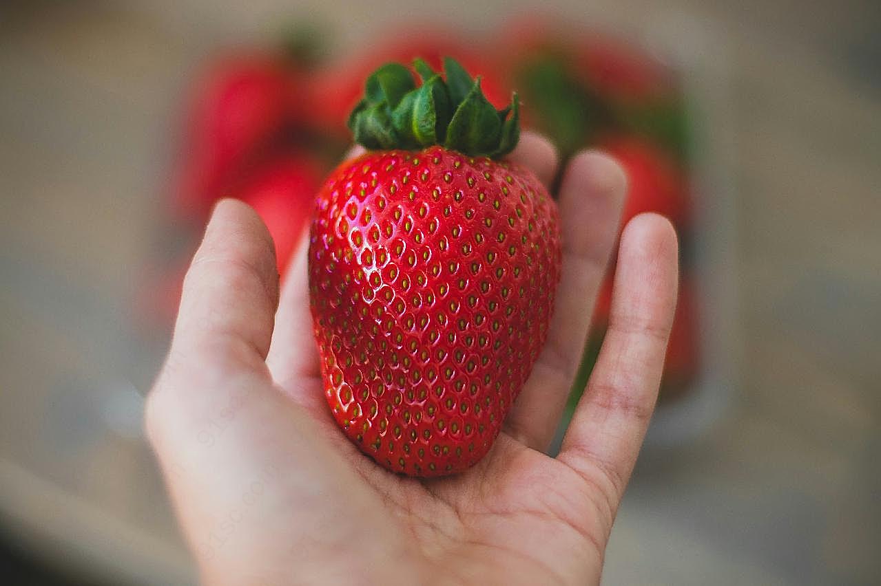 手里的草莓图片高清摄影