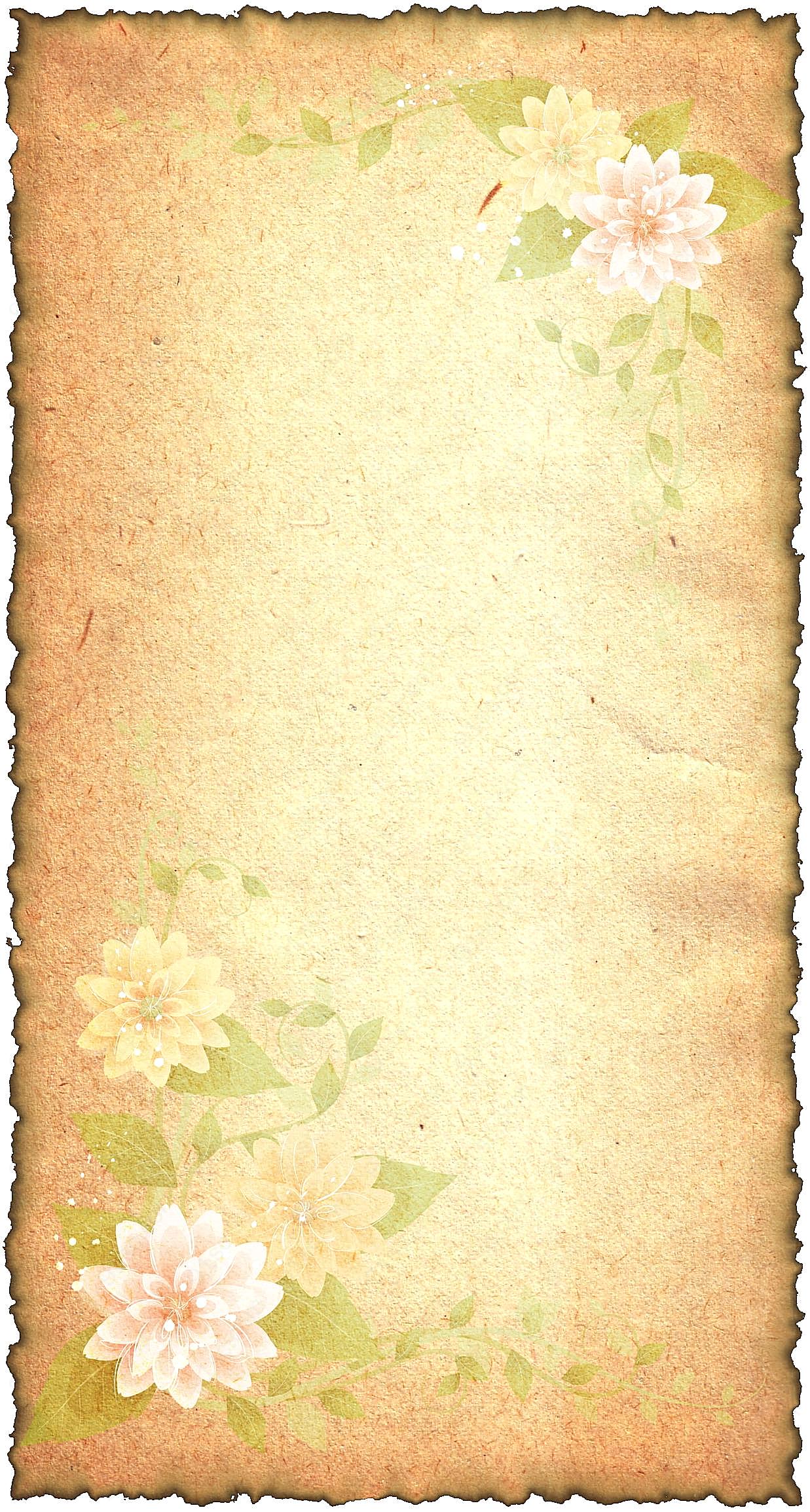 复古花卉纸张摄影