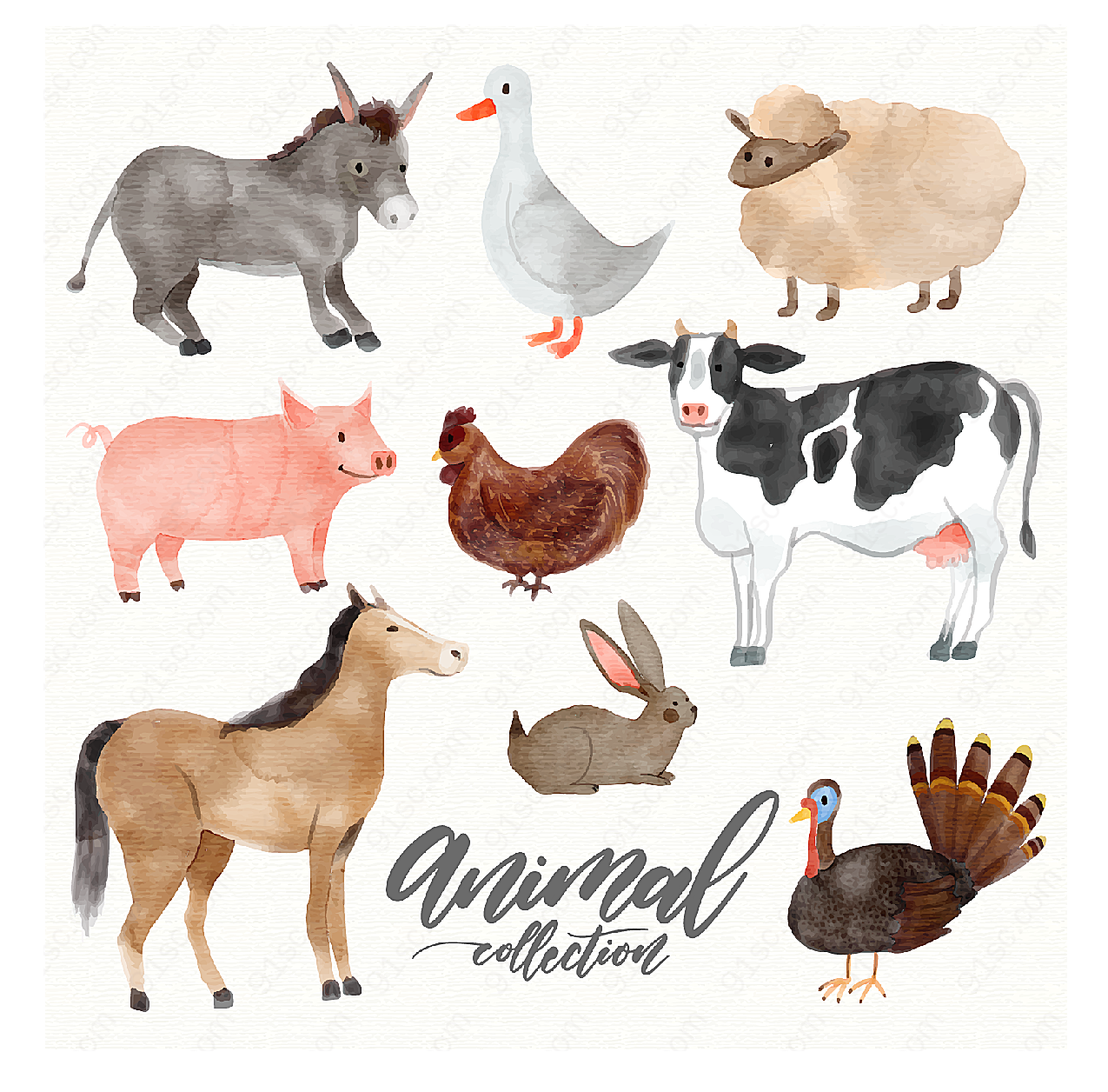 水彩绘农场动物矢量家禽家畜