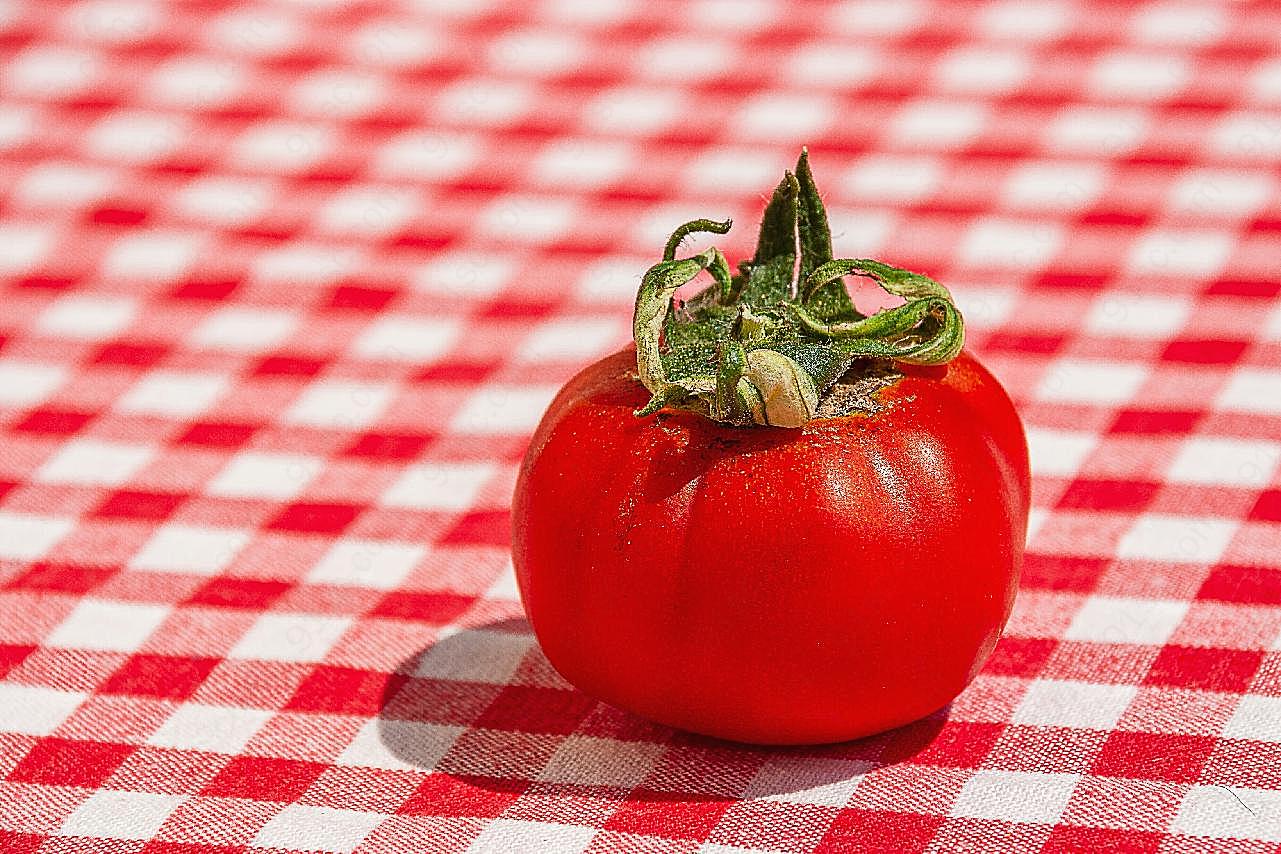 桌面上番茄图片高清生物