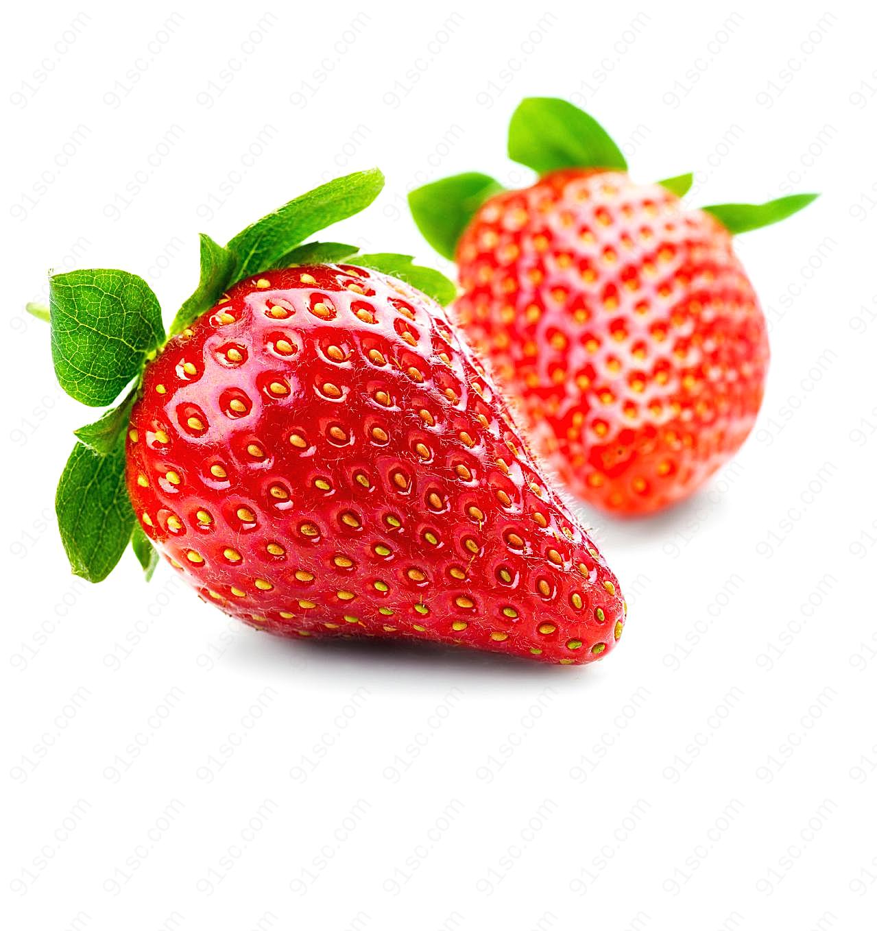 草莓高清图片1生物