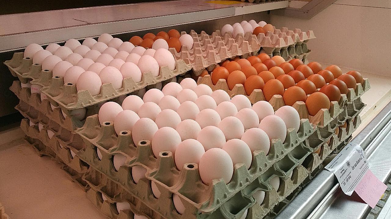 鸡蛋销售图片高清