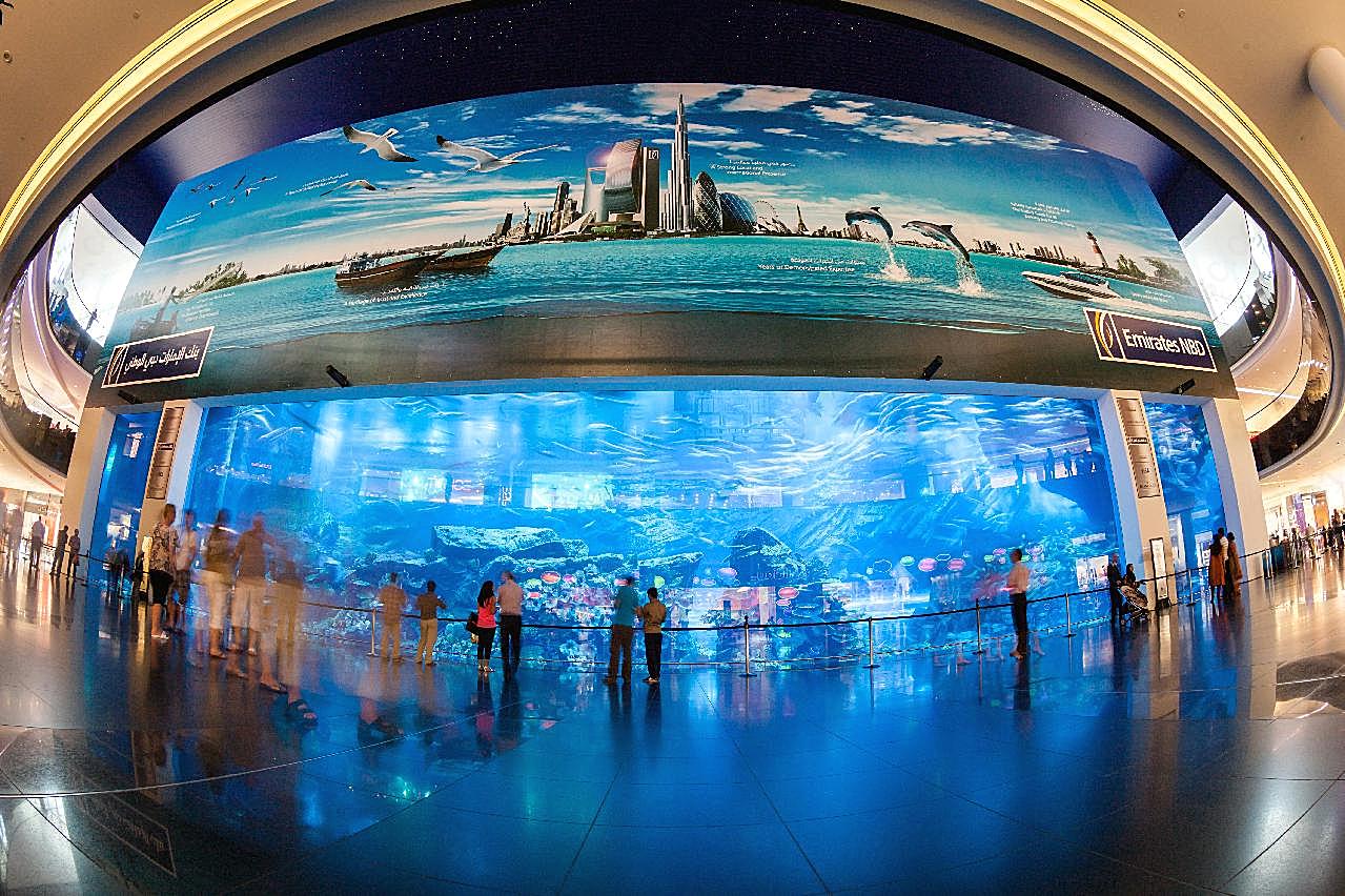 迪拜购物中心水族馆图片建筑
