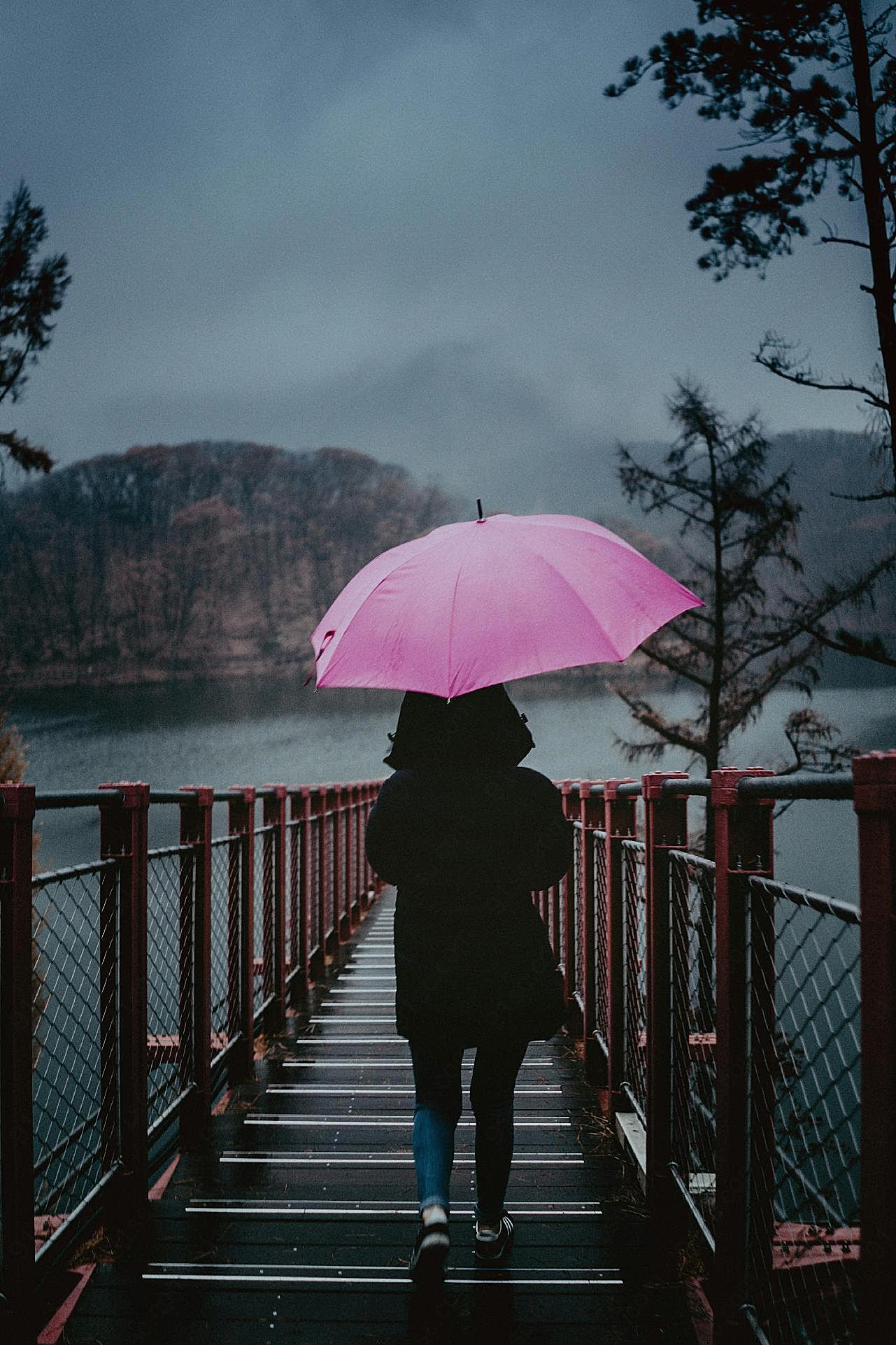 美女雨天打伞背影图片人物摄影