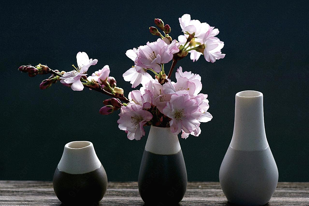花瓶樱花图片摄影高清