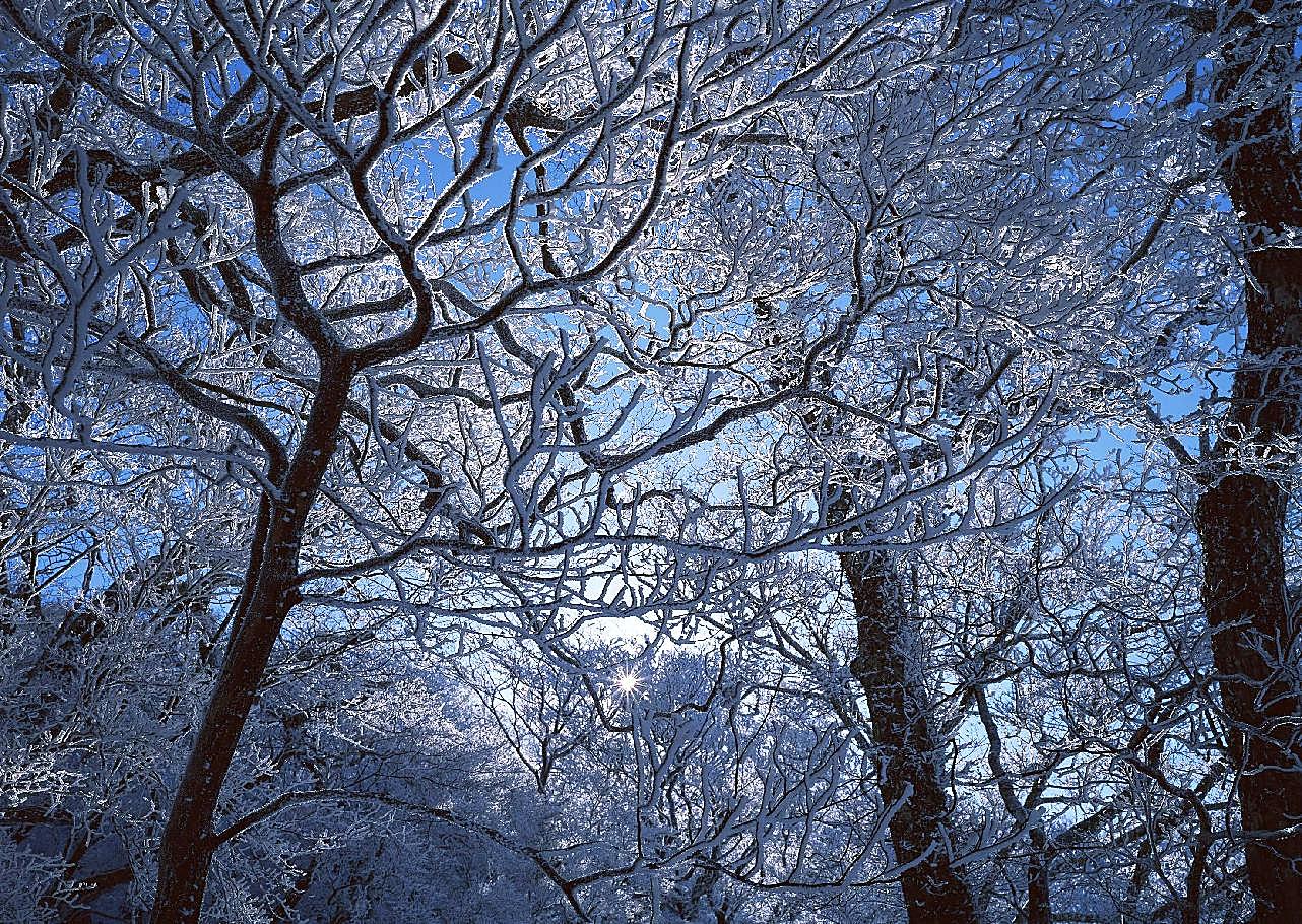 冰天雪地236雪景