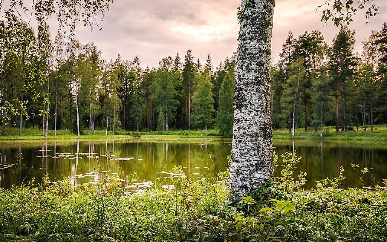 森林湖泊唯美风景图片自然风景