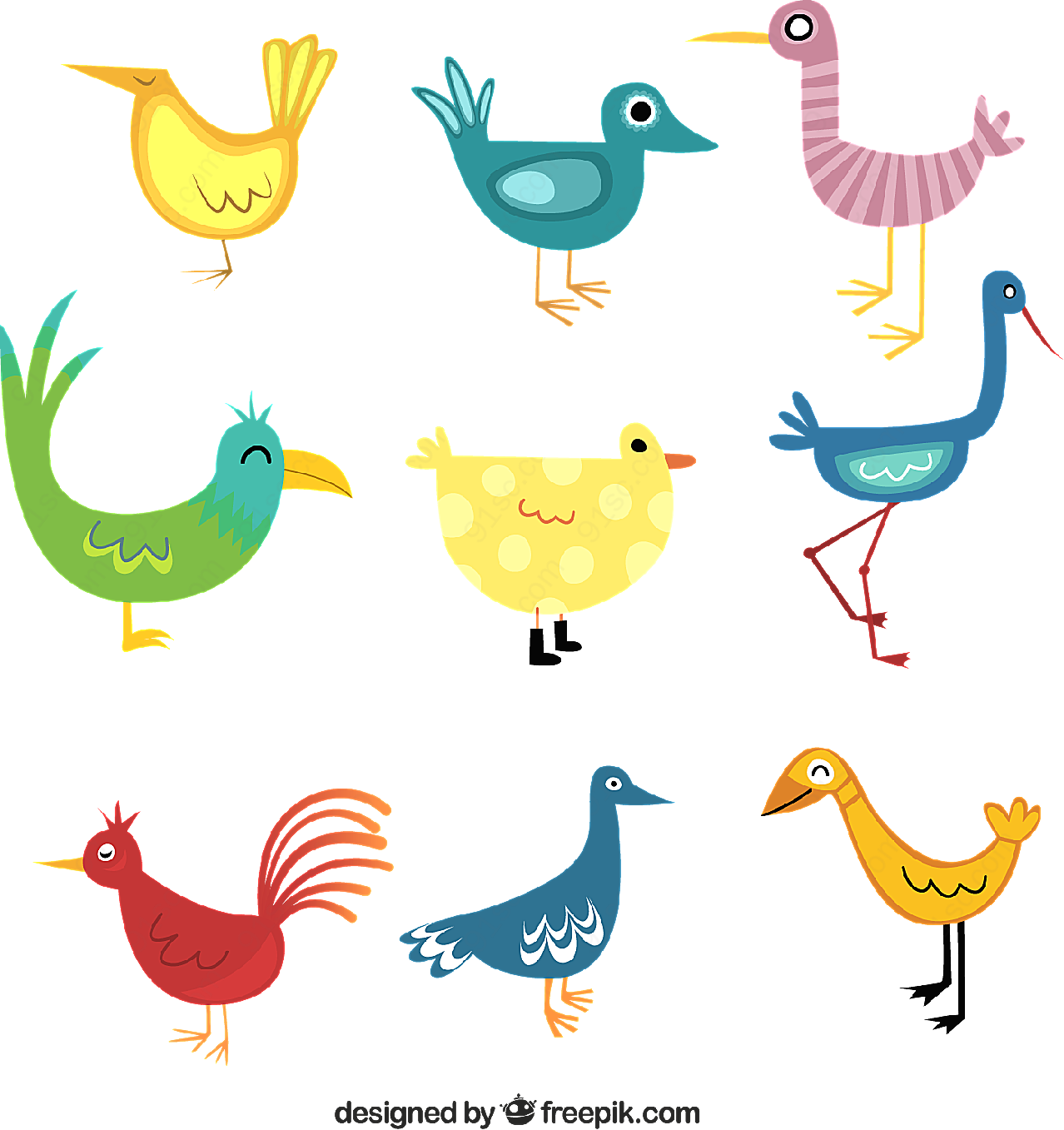 彩色鸟类设计矢量卡通动物
