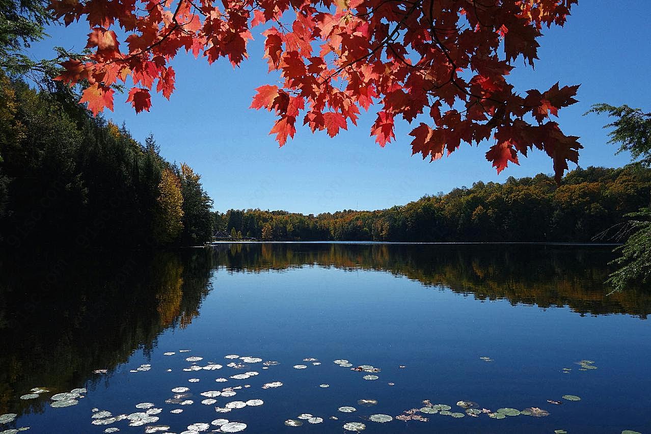 秋季湖泊景观图片摄影