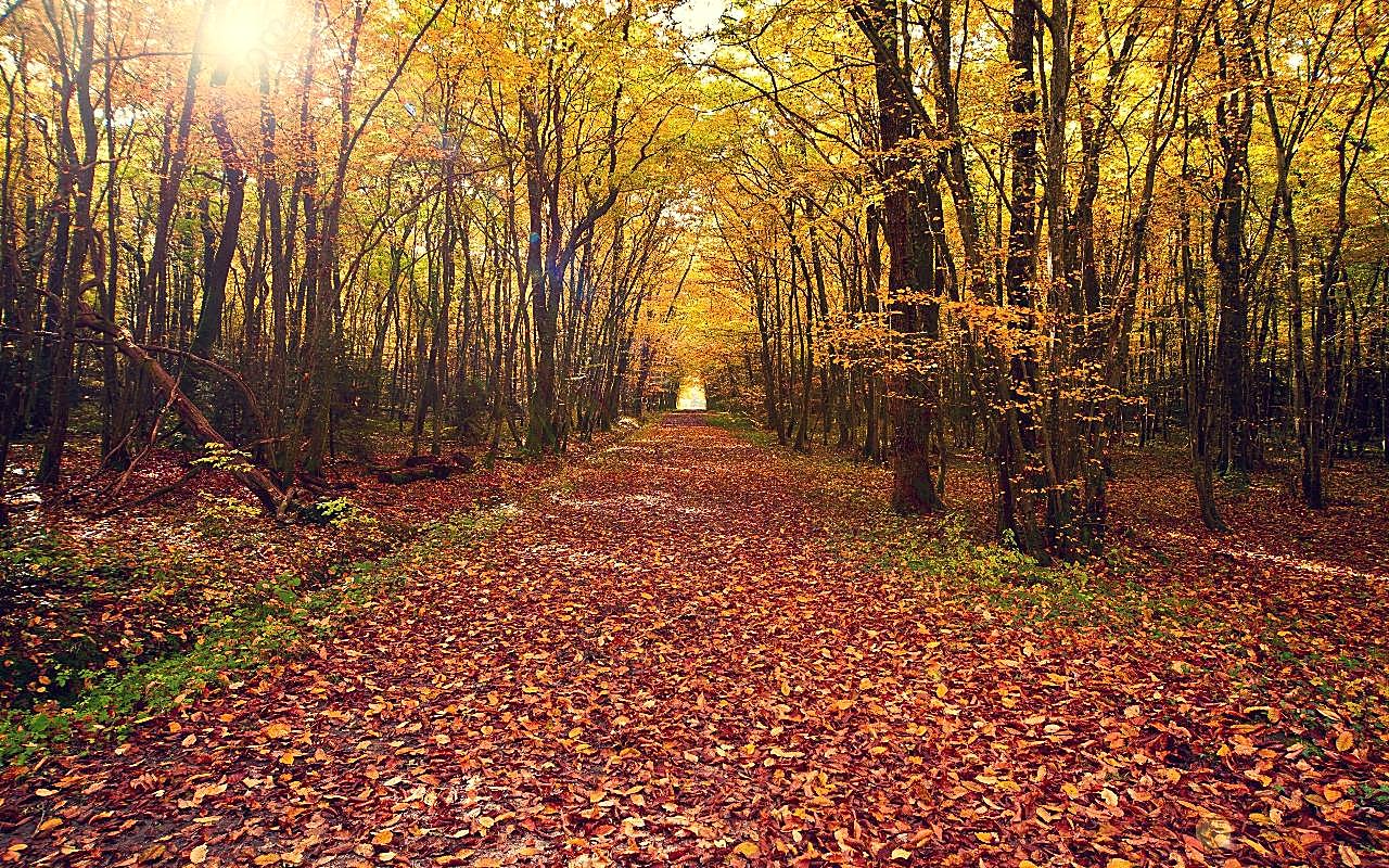 秋季景色图片下载自然风景