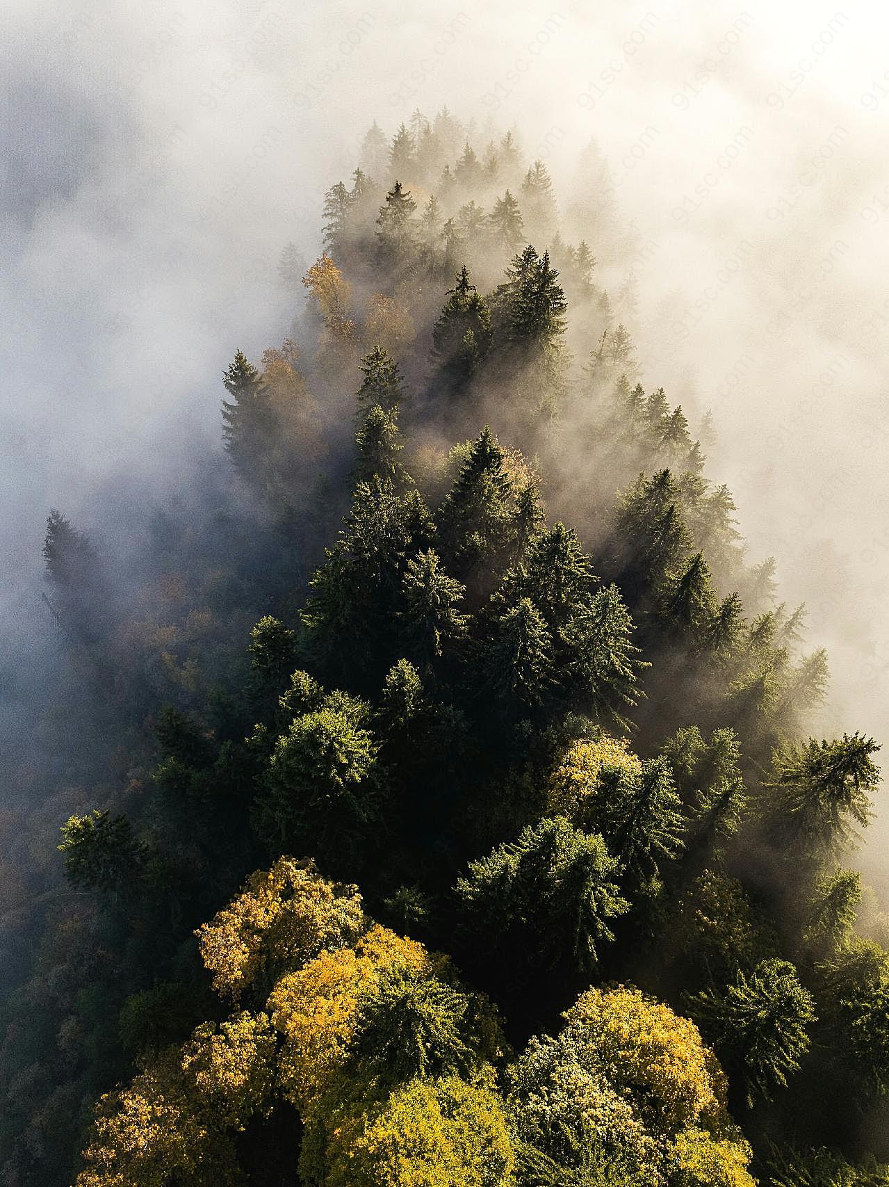 云雾中的风景图片摄影