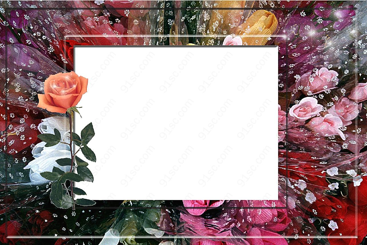玫瑰花相框高清图片相框素材