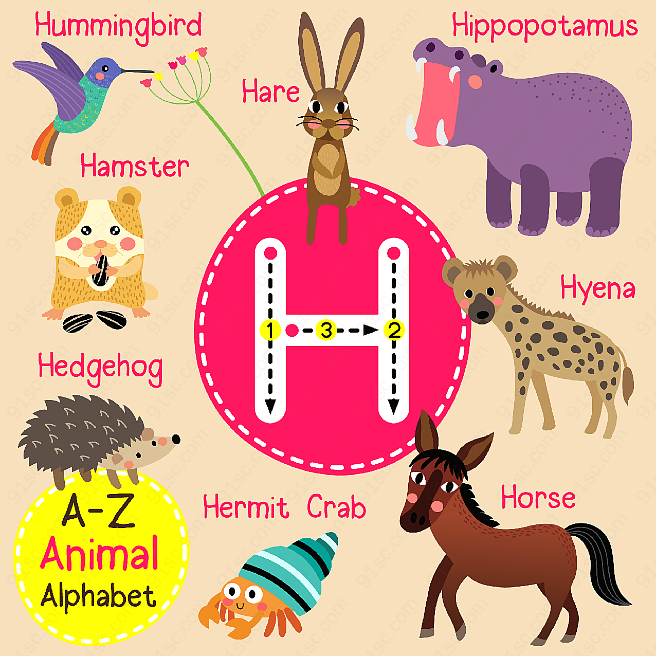 h动物字母表动物动物矢量卡通动物