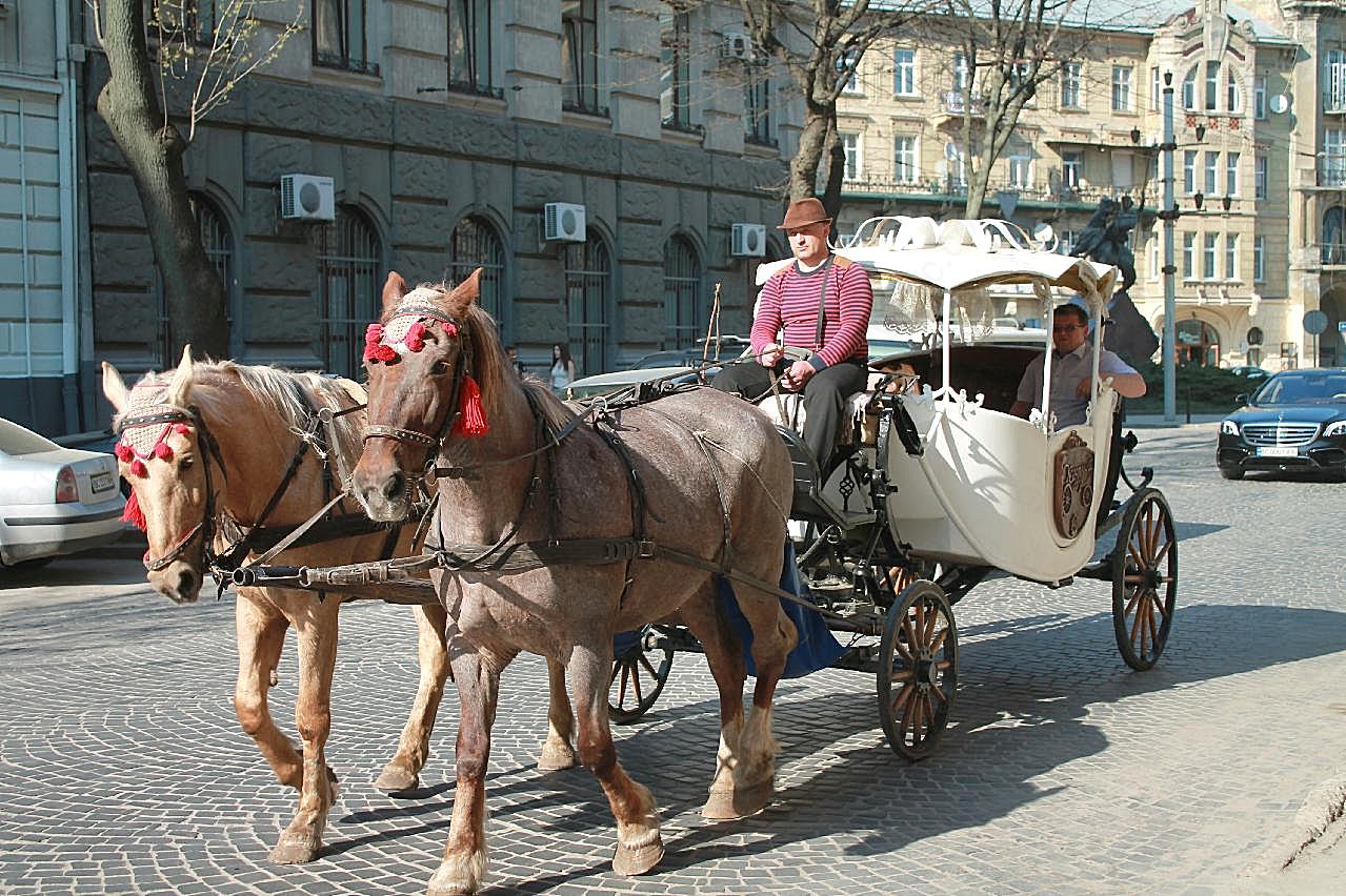 乌克兰传统马车图片高清交通