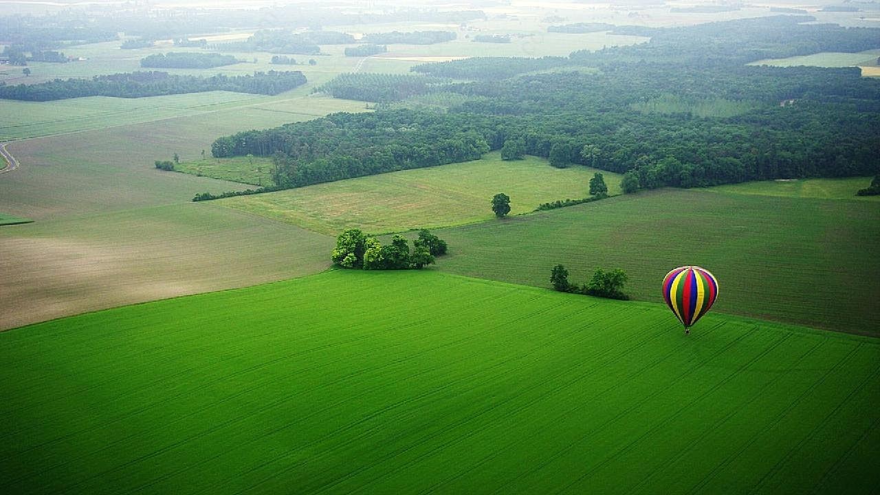 草地唯美风景图片