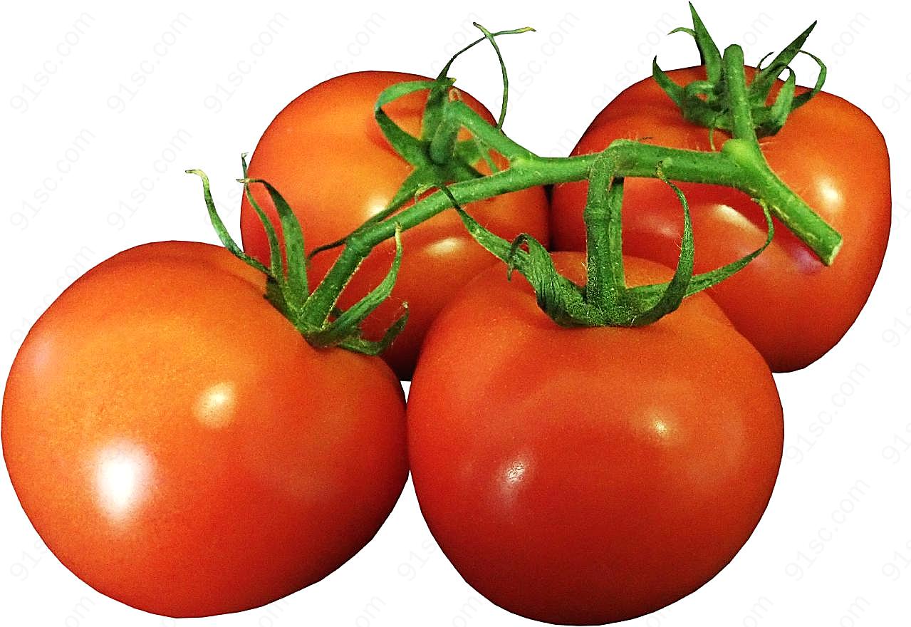 营养蕃茄图片摄影
