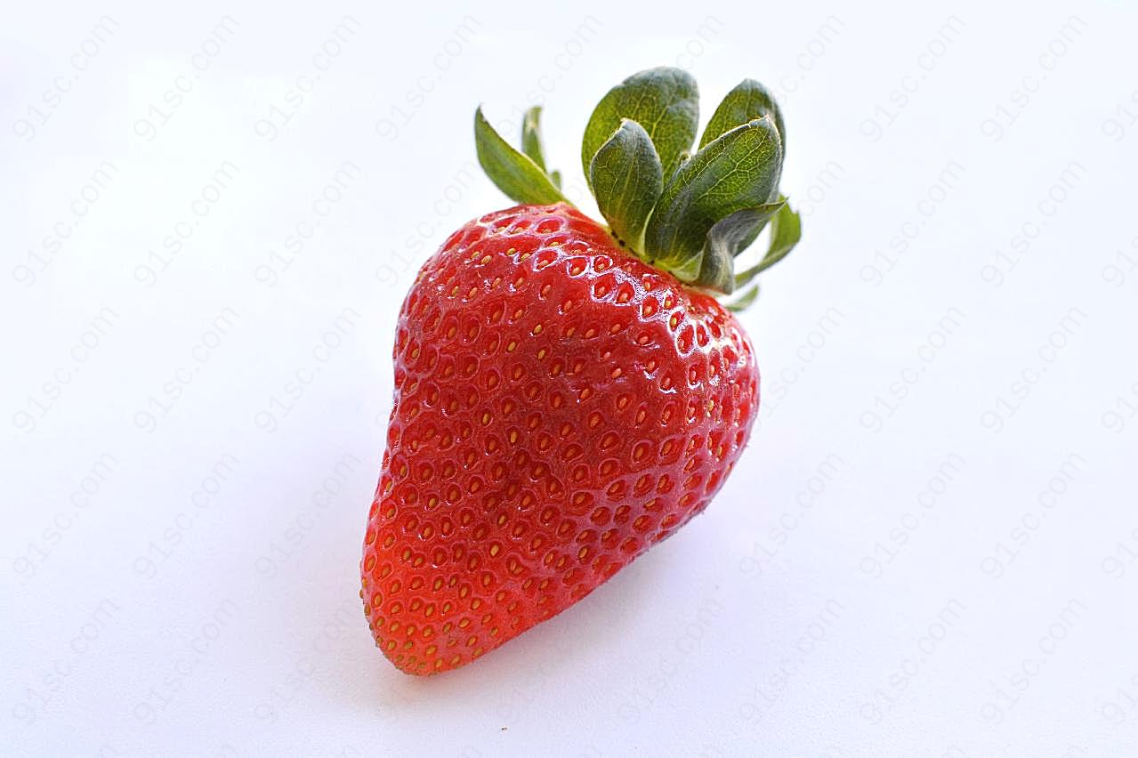 小草莓图片生物高清