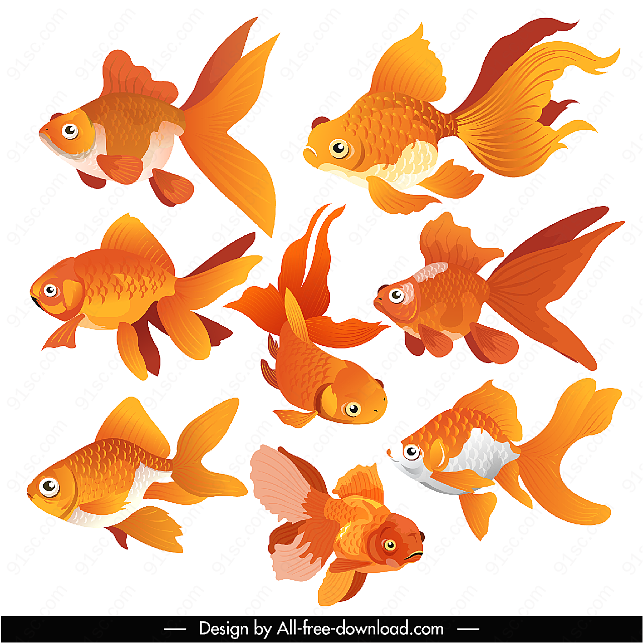 金鱼设计水中生物