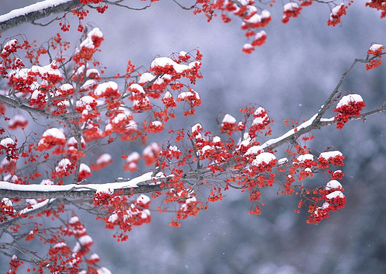 冰天雪地491风景