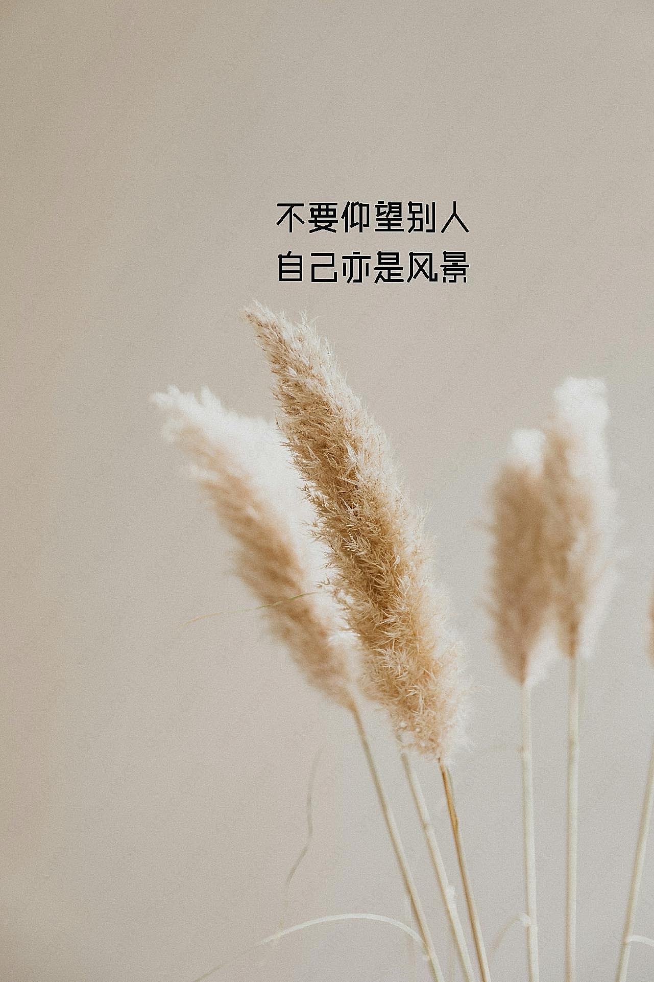 正能量励志带字图片高清