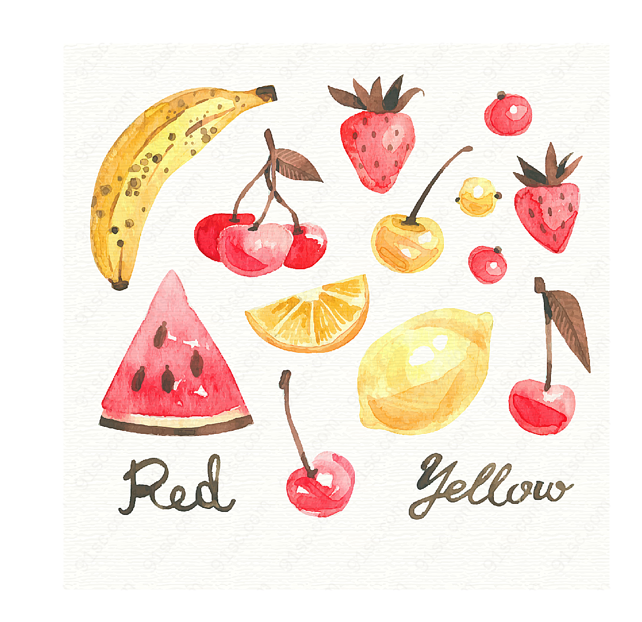 13款彩绘水果矢量水果