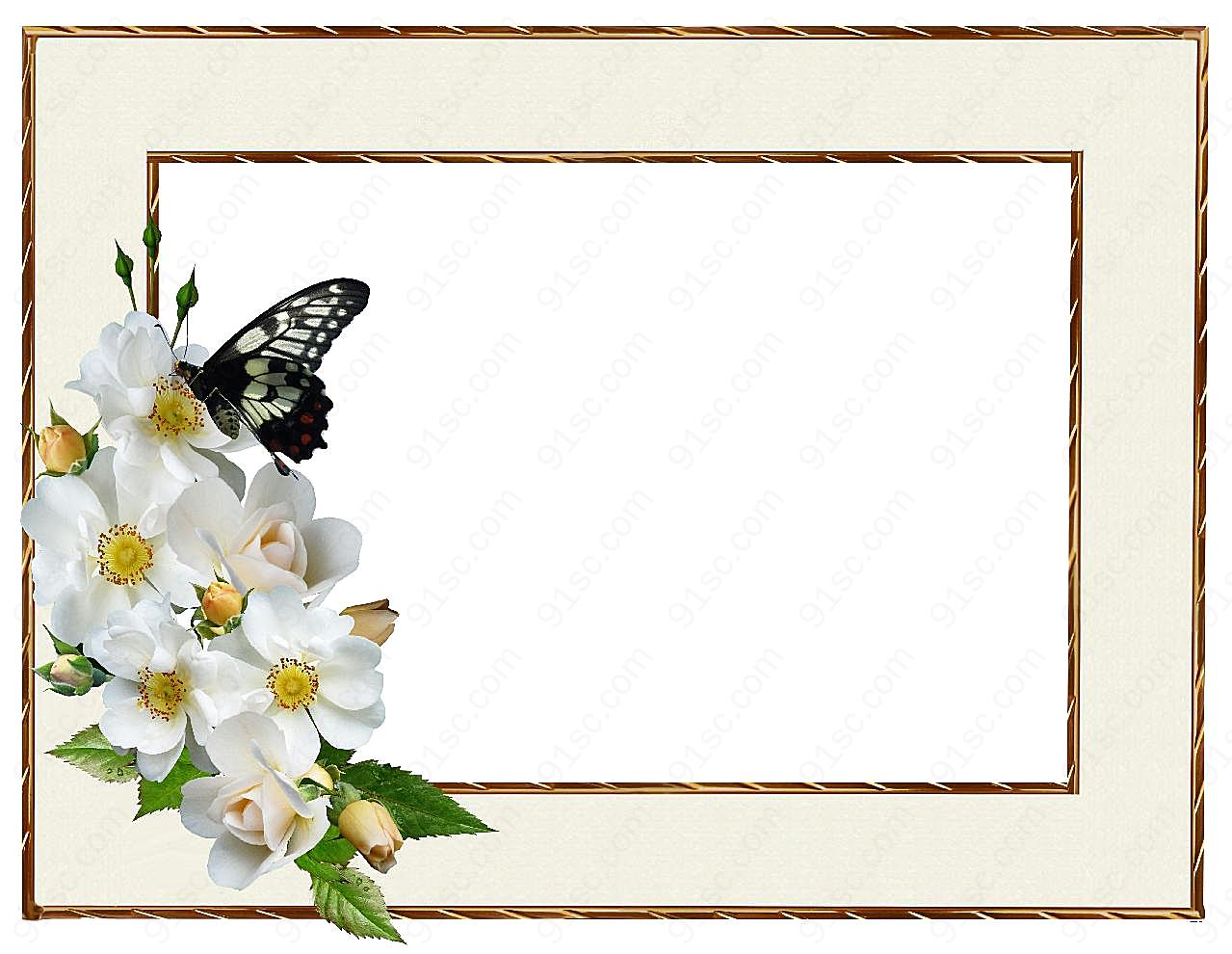 蝴蝶鲜花金属相框图片高清摄影