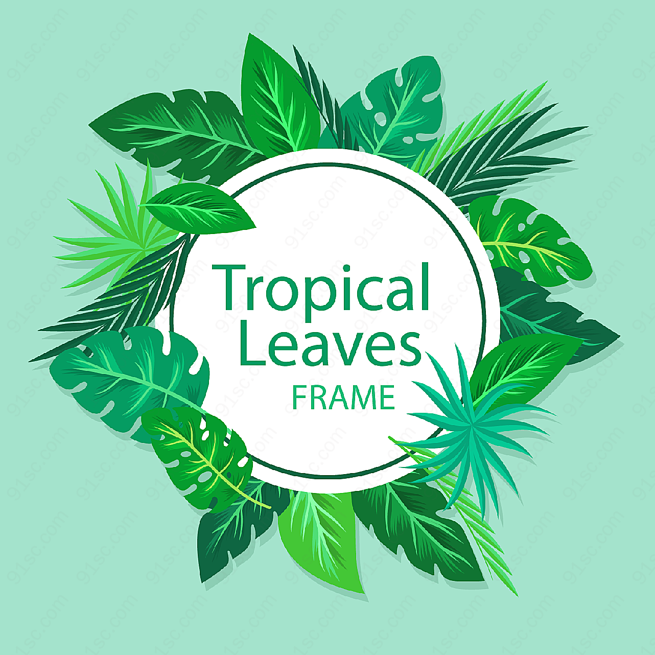 热带树叶框架平面广告