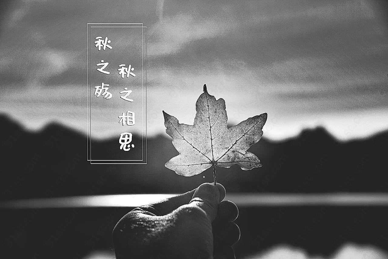 秋殇黑白高清