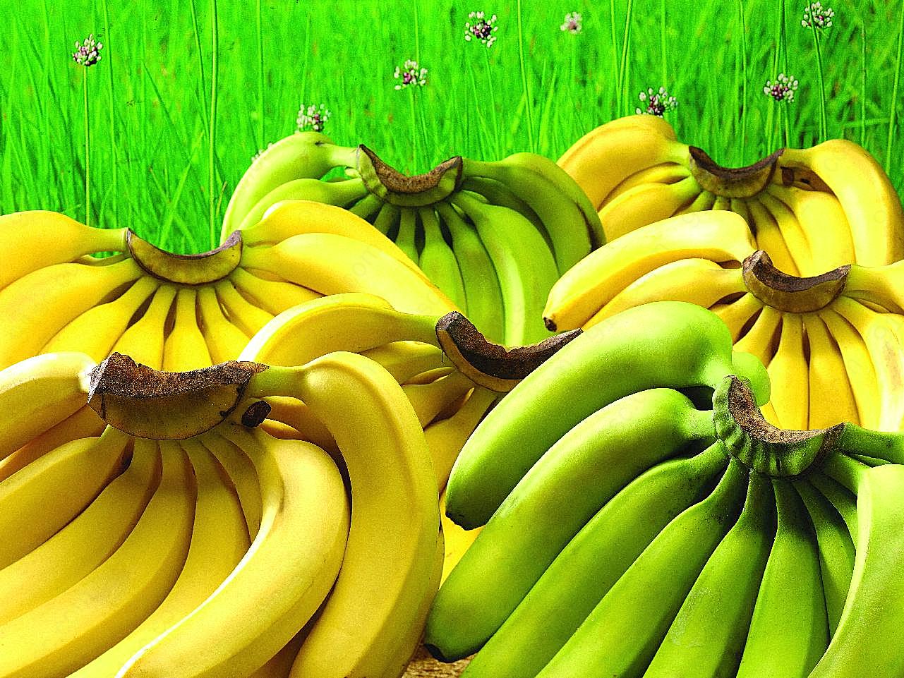 香蕉图片大全水果