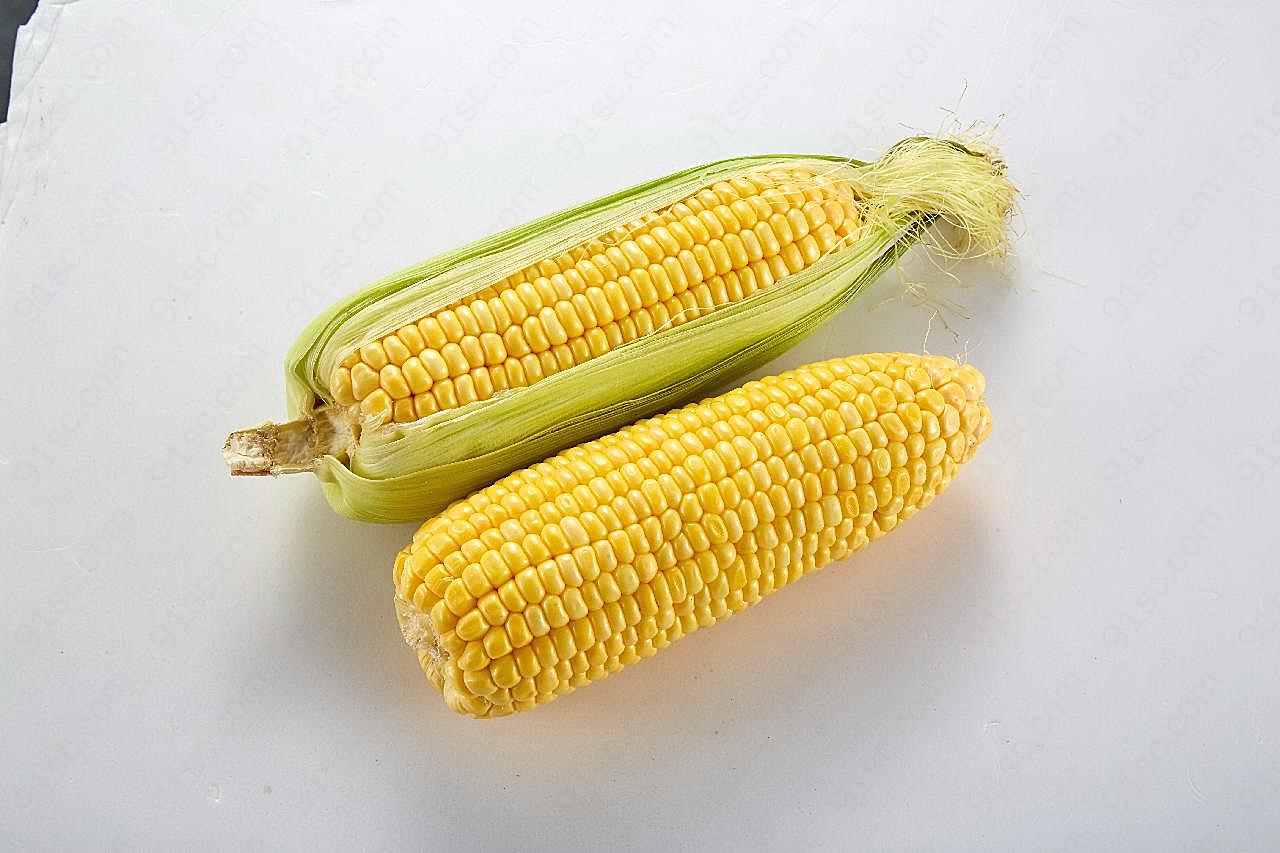 玉米图片摄影