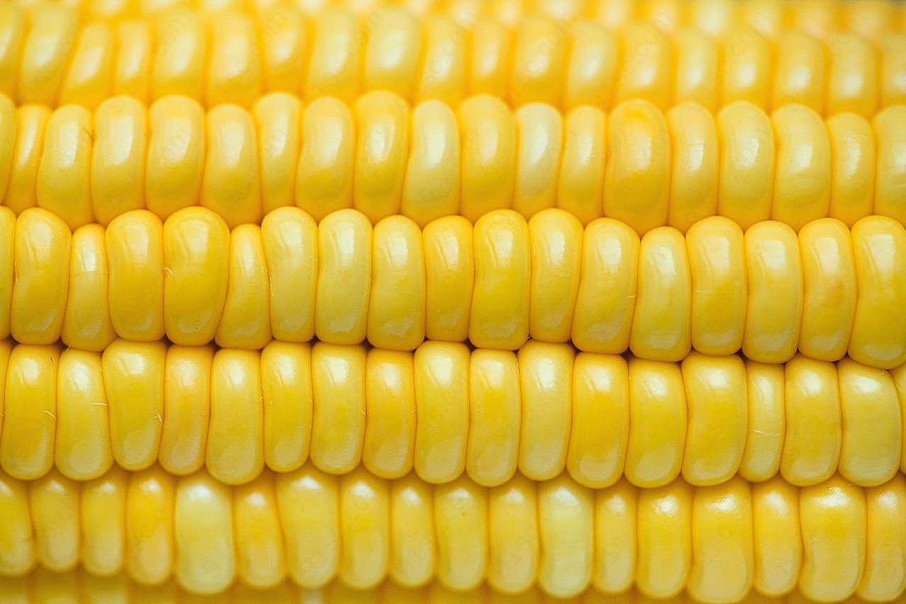 玉米单个图片特写图片高清美食