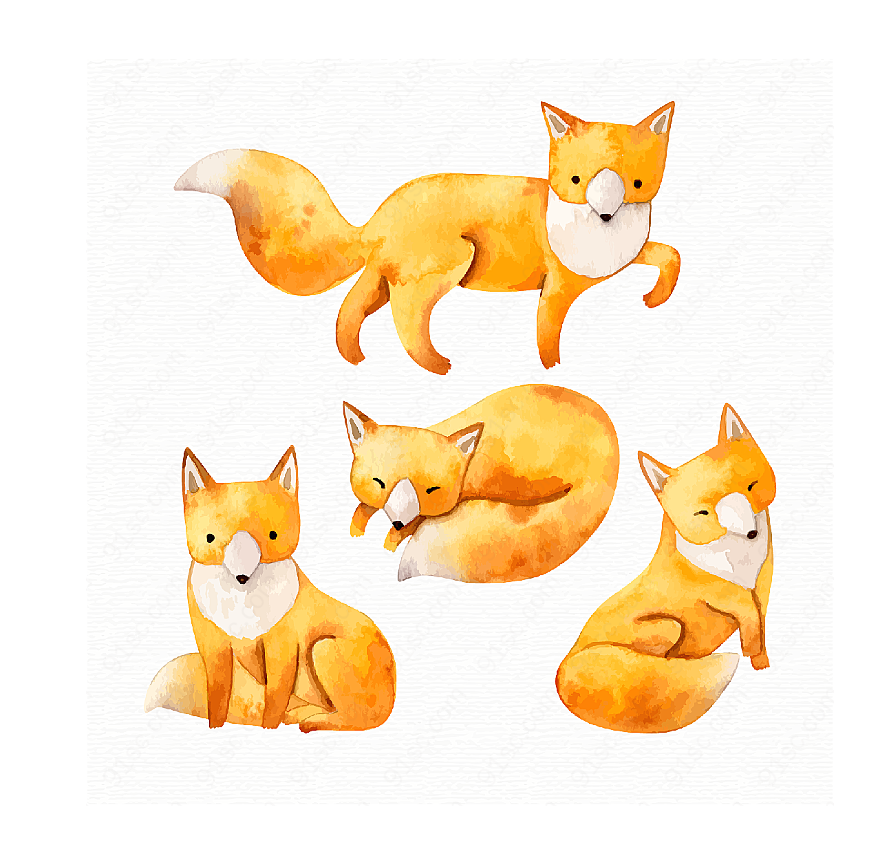 水彩绘狐狸矢量野生动物