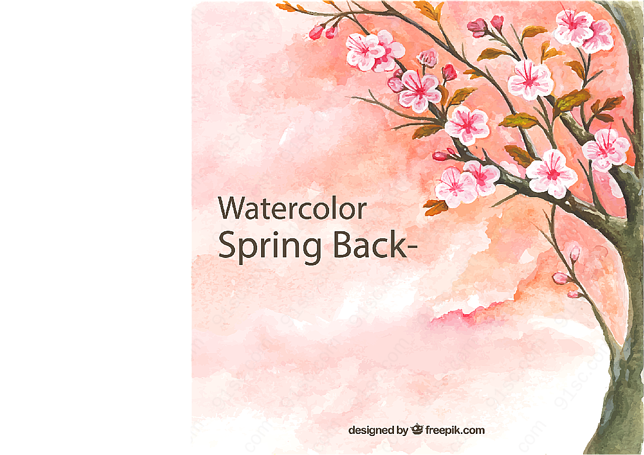 春季樱花树矢量绘画