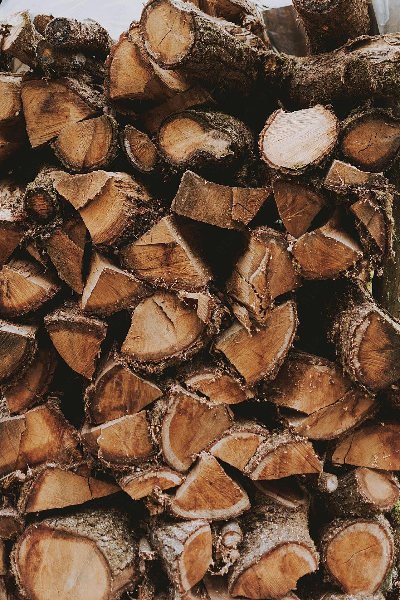 一堆木材木头图片景观自然