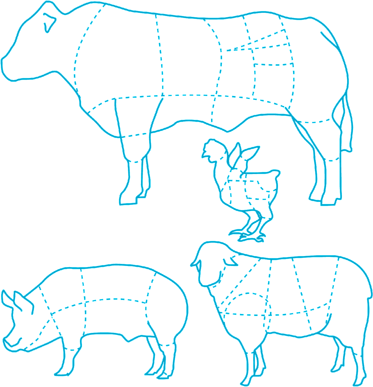 牛猪羊鸡食用分布矢量家禽家畜