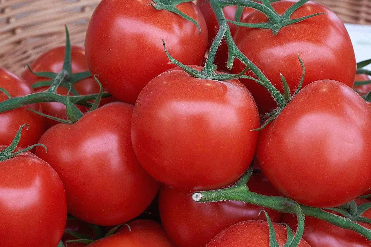 红番茄新鲜图片高清摄影